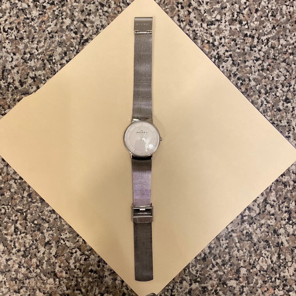 Skagen Silver Mesh Women's Watch